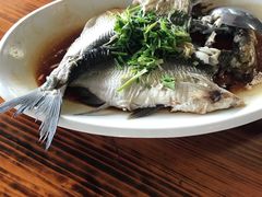 清蒸和顺鱼-八仔大富楼·河鲜(西江店)