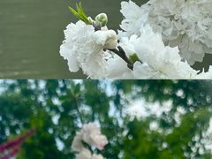 -圩墩遗址公园