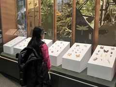 -天津自然博物馆