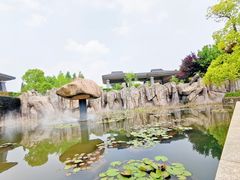 -南京银杏湖乐园