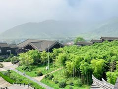 -大唐贡茶院
