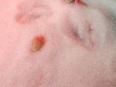 -兴芮温泉度假区