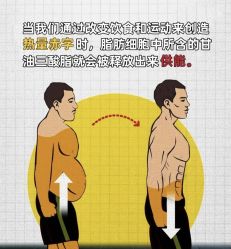 -Fundi张玉珊修身堂·indiba·BTL科技瘦身
