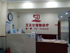 -艾贝尔宠物诊疗