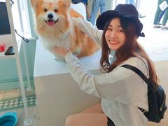 -伦敦比斯特购物村