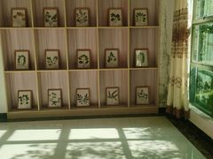 -东莞市大岭山森林公园
