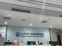 -北京派仕佳德动物医院·超导核磁·CT·神经科·骨科·内外科·急重症管理中心