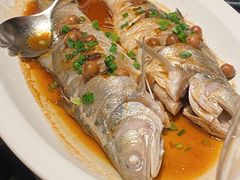 破布子蒸特五鱼-闽和南(深圳万象城店)