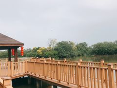 -大湾区中央湿地公园