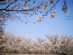 -龙美术馆(西岸馆)