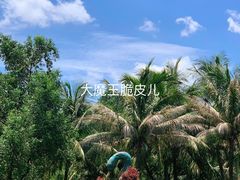 景点-白沙门生态公园