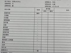 -欧奕国际动物医院