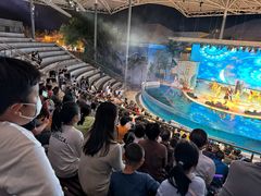 -三亚海昌梦幻海洋不夜城