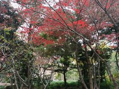 -上海兴国宾馆香樟园西餐厅