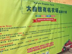 -大自然农场蔬菜草莓采摘园