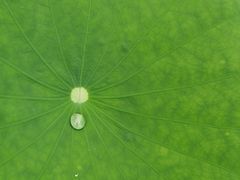 -瑶湖郊野森林公园