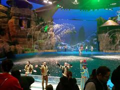 -芜湖新华联大白鲸海洋公园