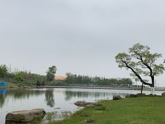 -滆湖低碳生态公园