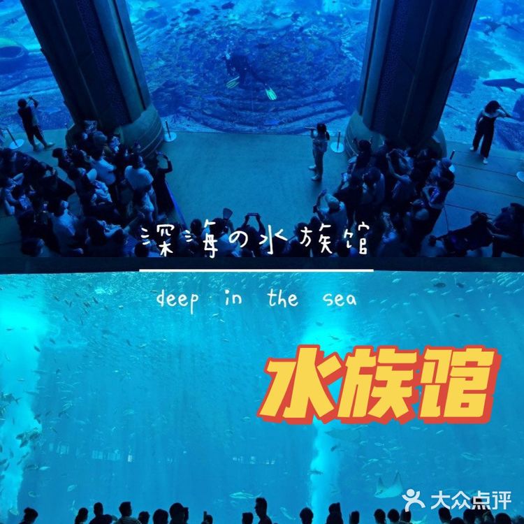 三亚景点|亚特兰蒂斯水族馆攻略