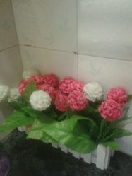 -本真坊美容美体沙龙