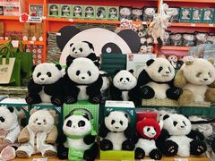 -熊猫邮局(少城店)