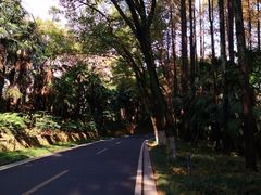 -采石矶景区