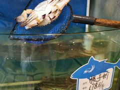 -天桥饭店·特色海鲜(金山嘴渔村店)