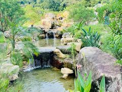 -广州市石门国家森林公园