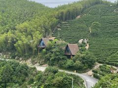 -长沙黑麋峰国家森林公园