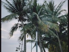 -深圳湾公园(南山区)