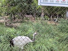 -石家庄市动物园