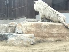 -太原动物园
