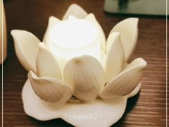 -环球影城莲花园 The Lotus Garden Universal Studios 