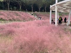 -牛岗山公园