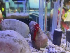 -北京海洋馆