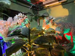 -恐龙探索乐园(磁器口店)