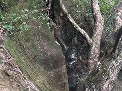 -七娘山