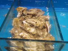 -火舞泰·泰式海鲜火锅餐厅(世纪城店)