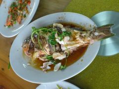 青衣鱼-岛中岛·海鲜大排档·万宁老字号(东澳店)