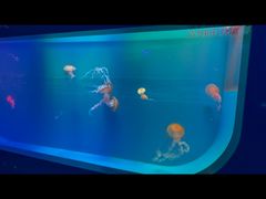 -多彩贵州城极地海洋世界