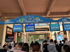 -苏州乐园森林水世界