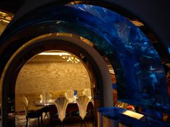 -迪拜帆船酒店海底餐厅