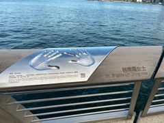 -星光大道