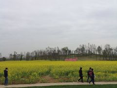 -白鹭湾湿地公园