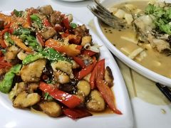 -煲来饱去冷水鱼