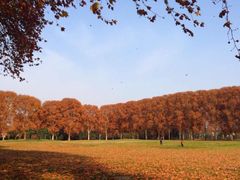 iphone_upload_pic-河南省黄河迎宾馆