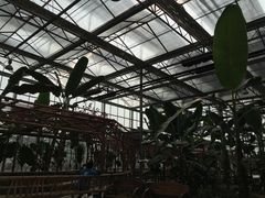 -兰陵国家农业公园