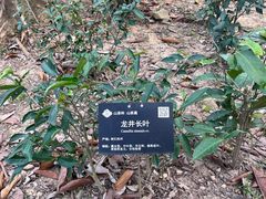 -广州市白云山风景名胜区