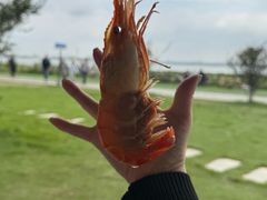 -七的湖·晚芳亭·阳澄湖农家菜·大闸蟹(莲花岛店)