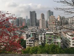 -大炮台